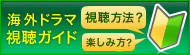 海外ドラマ視聴ガイド＜海外ドラマ視聴方法＆楽しみ方＞